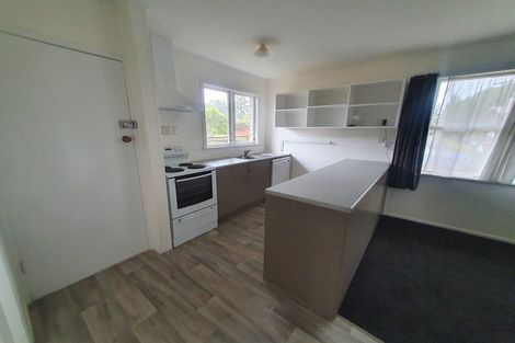 Photo of property in 112 Fitzroy Avenue, Fitzroy, Hamilton, 3206