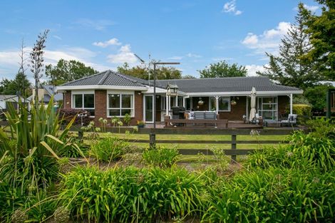 Photo of property in 10 Rowling Place, Leamington, Cambridge, 3432