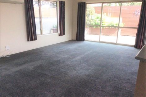 Photo of property in 6a Oxford Street, Hampstead, Ashburton, 7700