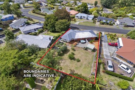 Photo of property in 17 Bledisloe Avenue, Putaruru, 3411