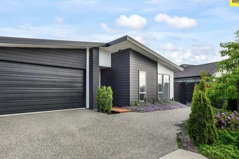 Photo of property in 47 Berryfield Drive, Richmond, 7020