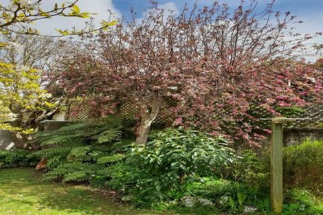 Photo of property in 3 Sydenham Street, Northland, Wellington, 6012