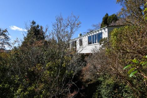 Photo of property in 61 Braeview Crescent, Maori Hill, Dunedin, 9010