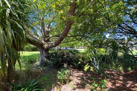Photo of property in 292 Manukau Road, Epsom, Auckland, 1023