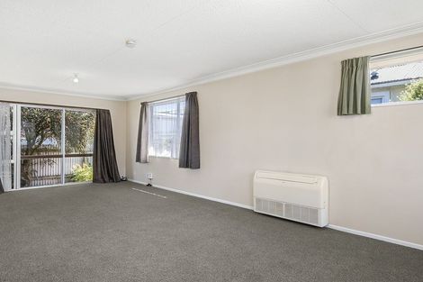 Photo of property in 17 Fingall Street, South Dunedin, Dunedin, 9012