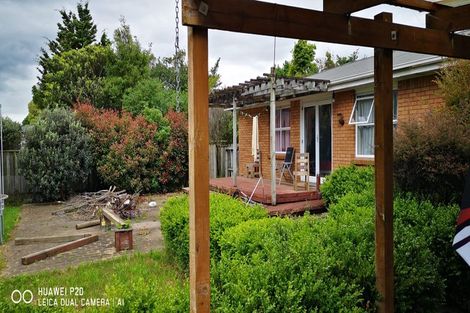 Photo of property in 22 Dalgliesh Avenue, Forest Lake, Hamilton, 3200