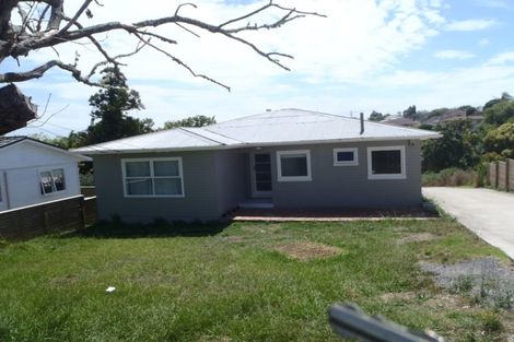 Photo of property in 51 Webster Avenue, Mount Roskill, Auckland, 1041