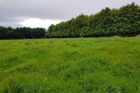 Photo of property in 64 Dunlop Road, Clydevale, Balclutha, 9274