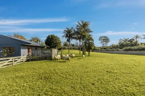 Photo of property in 249 Plummers Point Road, Whakamarama, Tauranga, 3172