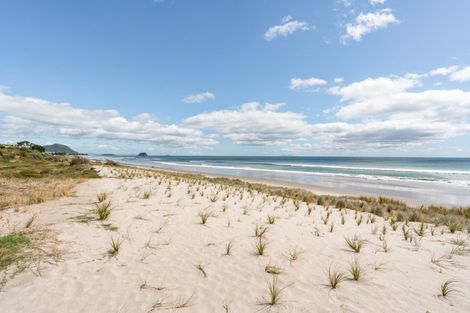 Photo of property in 165 Oceanbeach Road, Mount Maunganui, 3116