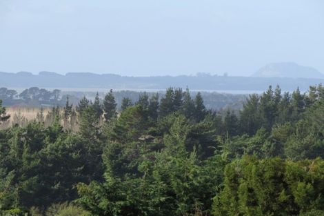 Photo of property in 237a Busby Road, Tahawai, Katikati, 3170