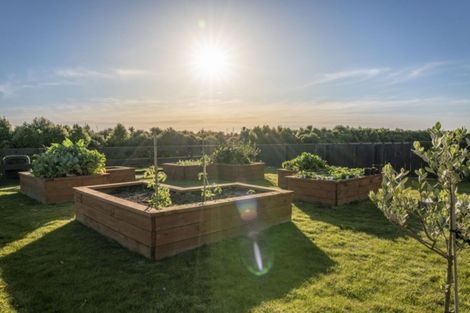 Photo of property in 11 Mike Smith Drive, Cambridge, 3434