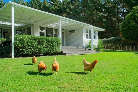 Photo of property in 1215 Wharekopae Road, Ngatapa, Gisborne, 4072