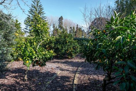 Photo of property in 105 Rosebanks Drive, Tamahere, Hamilton, 3283