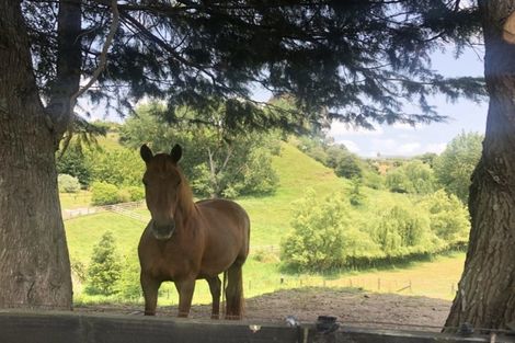 Photo of property in 57 Pukerimu Lane, Cambridge, 3495