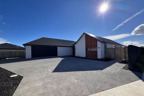 Photo of property in 46 Fairmaid Street, Lincoln, 7608