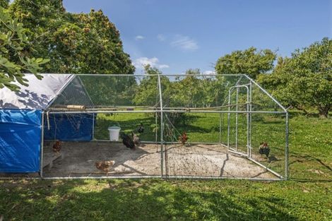 Photo of property in 982 Back Ormond Road, Makauri, Gisborne, 4071