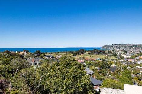 Photo of property in 30 Minto Street, Andersons Bay, Dunedin, 9013