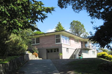 Photo of property in 34 Hillcrest Road, Whakatane, 3120