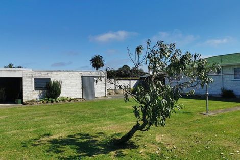 Photo of property in 105 Apatu Street, Wairoa, 4108