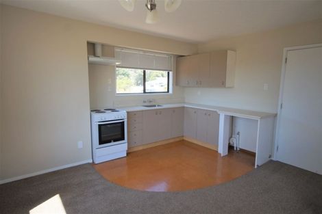 Photo of property in 39 Parnassus Street, Waiau, 7332