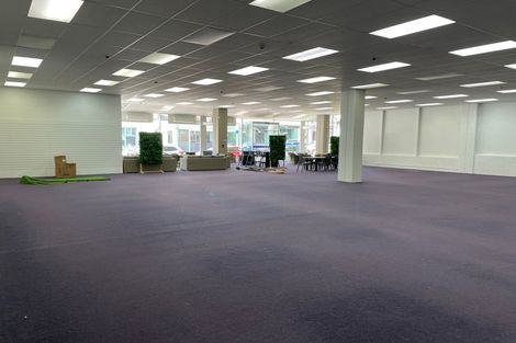 Photo of property in Marion Square Apartments, 3/26 Marion Street, Te Aro, Wellington, 6011