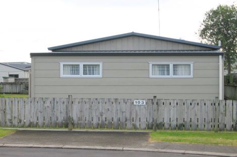 Photo of property in 103 Whitby Place, Whangamata, 3620