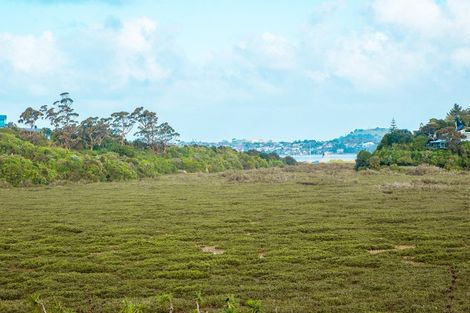 Photo of property in 33c Saint Peters Street, Northcote, Auckland, 0627