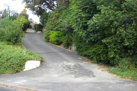 Photo of property in 38 Littlebourne Road, Roslyn, Dunedin, 9010