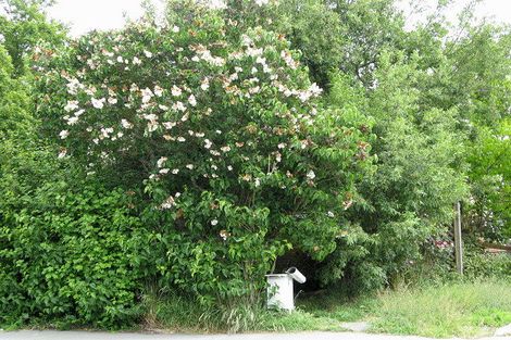 Photo of property in 154 Aorangi Road, Bryndwr, Christchurch, 8053