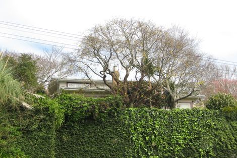 Photo of property in 100 Gover Street, New Plymouth, 4310