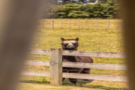 Photo of property in 240a Blueskin Road, Brunswick, Whanganui, 4571