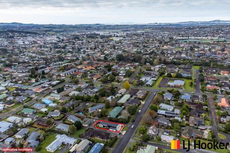 Photo of property in 16 Puriri Road, Pukekohe, 2120