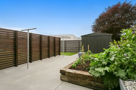 Photo of property in 11 Banks Road, Matamata, 3400