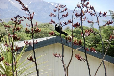 Photo of property in 11 Hapuku Road, Hapuku, Kaikoura, 7371