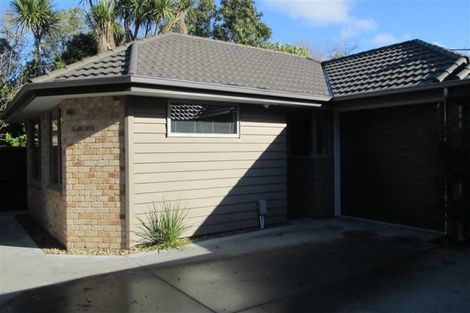 Photo of property in 36b Walpole Street, Waltham, Christchurch, 8023