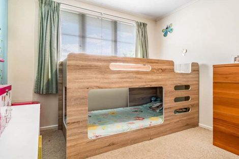 Photo of property in 62 Webster Avenue, Mount Roskill, Auckland, 1041