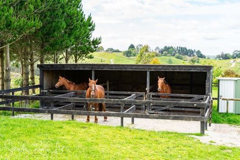 Photo of property in 227 Porter Road, Paparoa, 0571