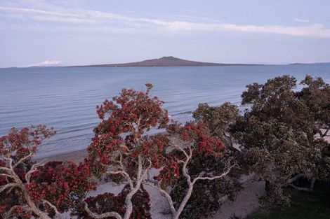 Photo of property in 25 Park Avenue, Takapuna, Auckland, 0622