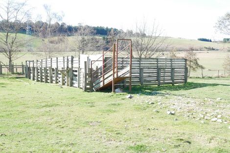 Photo of property in 177 Oakwood Road, Hadlow, Timaru, 7974