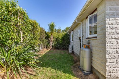 Photo of property in 150 Bartholomew Road, Levin, 5510