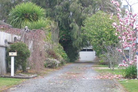 Photo of property in 60 Sixteenth Avenue, Tauranga South, Tauranga, 3112