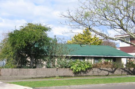 Photo of property in 110 Long Melford Road, Awapuni, Palmerston North, 4412
