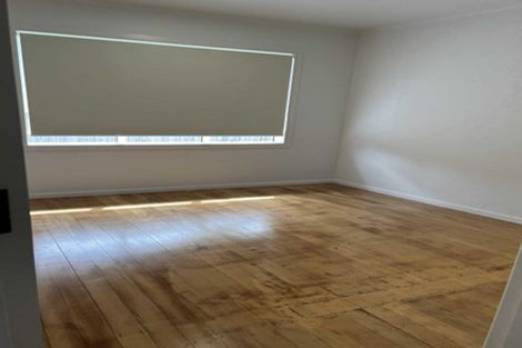 Photo of property in 31 Tiraumea Drive, Pakuranga, Auckland, 2010