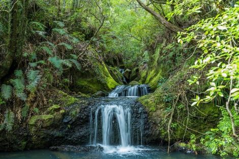 Photo of property in 363 Mill Creek Road, Kaimarama, Whitianga, 3591