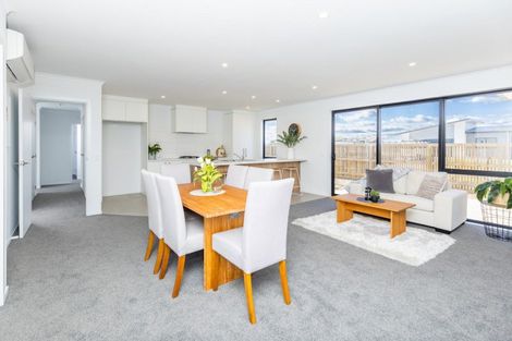 Photo of property in 17 Tekapo Road, Baverstock, Hamilton, 3200