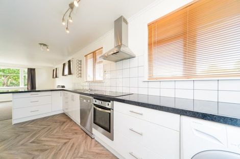 Photo of property in 21 Salisbury Avenue, Terrace End, Palmerston North, 4410