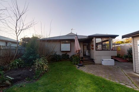 Photo of property in 14 Snowdon Avenue, Terrace End, Palmerston North, 4410