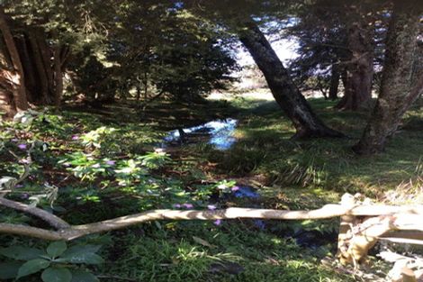 Photo of property in 585 Te Pua Road, Kaikohe, 0472