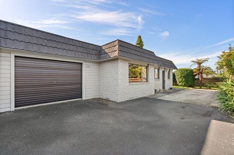 Photo of property in 115b Chapel Street, Otumoetai, Tauranga, 3110